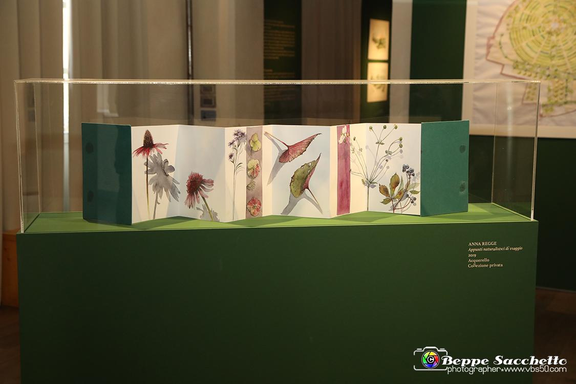VBS_1192 - Castello di Miradolo - Mostra Oltre il giardino l'Abbecedario di paolo Pejrone.jpg